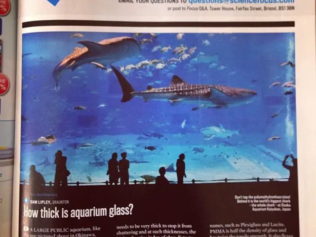 Interesting Facts about the Endangered Texas Salamander