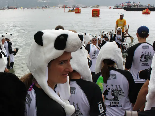 Hardworking Senegalese seafarers, aboard Breton fishing vessels, described as embodying a...