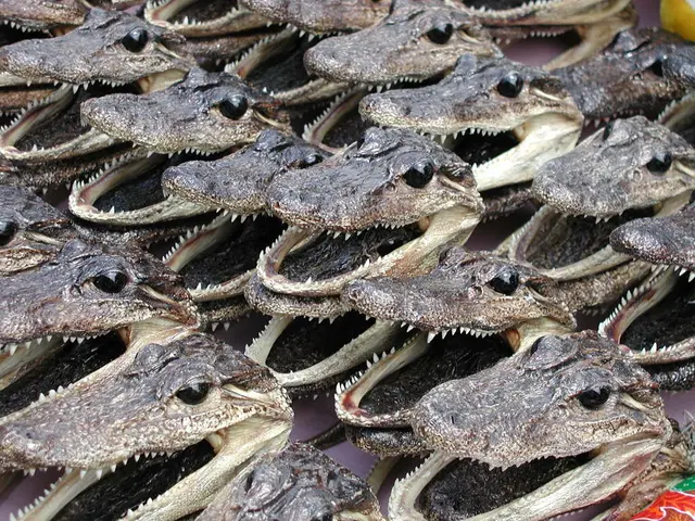 Zoo associates denounce menacing death threats in Pavian case