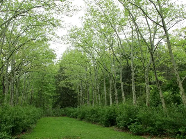 Fertile Soils Foster Sustainable Growth of Flowers, Maintain Ecological Variety, and Promote a...