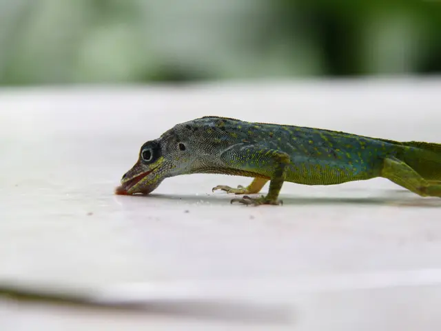 Expensive-looking yet surprising color scheme found in the Benjamin Moore shade of 'Inky Green'