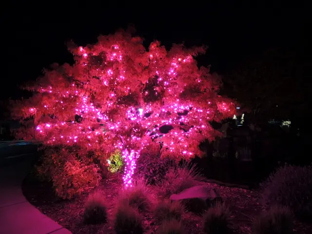 Revamped Front Yard Landscaping Schemes to Dramatically Alter Your Exterior Haven