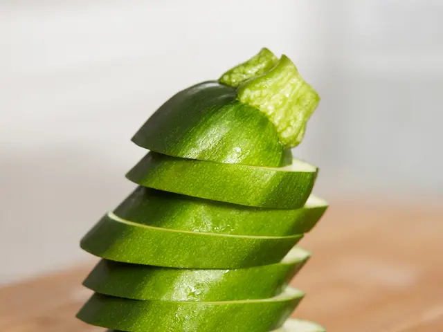 Timing the Right Moment for Cucumber Plucking: Insights on Ideal Harvesting Period