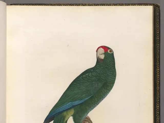 Exploring the Realm of Marsh Dwellers at Martlesham Wilds: A Starting Guide for Wading Fowl