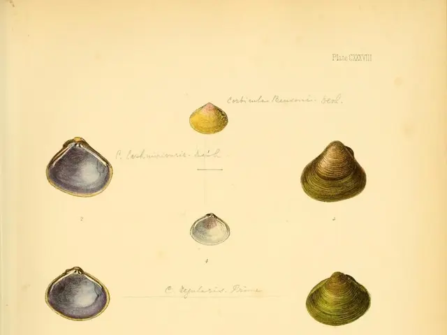 Timeless Polka Dots: Interior Design Experts Reveal Ways to Avoid Trendiness