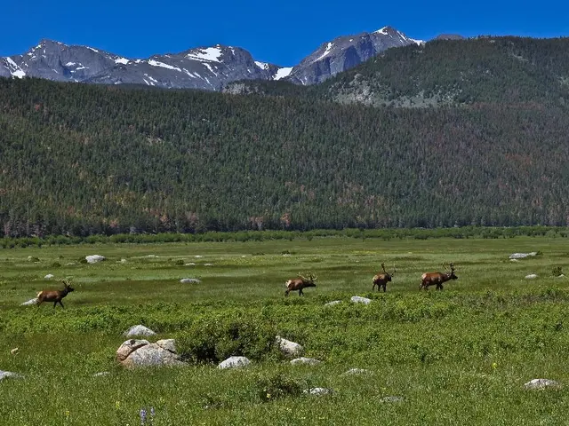 Global Earth Network: An Interconnected Union of Nations