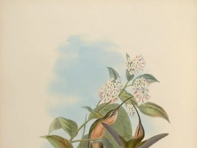 Creative Explorations: Unconventional Techniques for Drawing Sunflowers with Charcoal