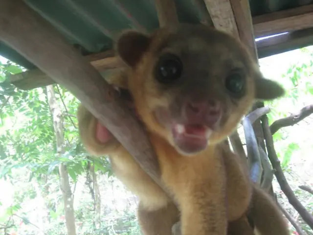 Collaboration of Three Cities in the Inland Empire for a Cutting-Edge, Modern Animal Shelter