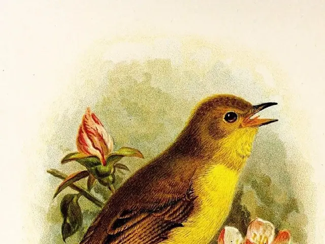 Rapidly Craft a Vibrant Paper Tassel Decoration