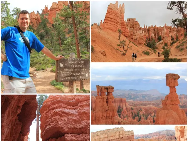 Historical photographs from Neustadt are now available for public access through the Zeittor Photo...