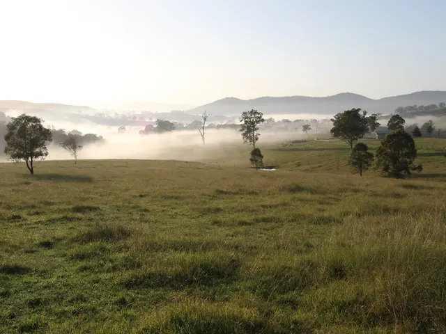 "Guide on Hedge Installation" or "Instructions for Planting a Hedge" or "Tutorial for Establishing...