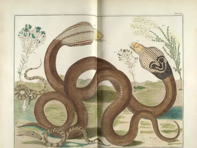 Lunar New Year 2025 Marked by the Snake Sign - Refresh Your Home with Slithering Decor for a...