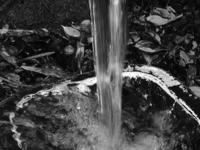 Revitalizing Vegetation: A Comprehensive Guide to Flourishing Greenery Again