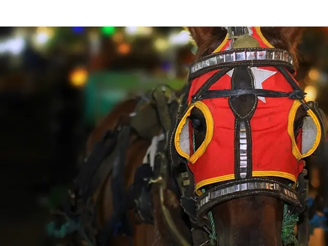 Destroying a multi-unit dwelling located on Khalturin Street in Yakutsk