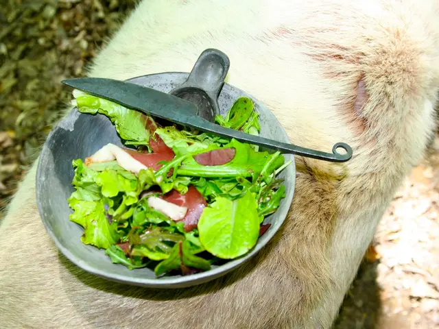 Stomach Infection: Causes, Signs, and Additional Information