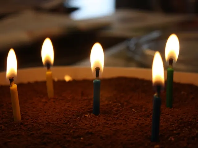 Elegant Candles: Essential for a Captivating Atmosphere