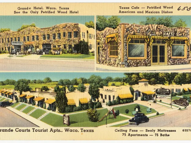 Twenty-fifth Thomas D. Clark Medallion award bestowed upon "Driftwood" author, Jessica Whitehead