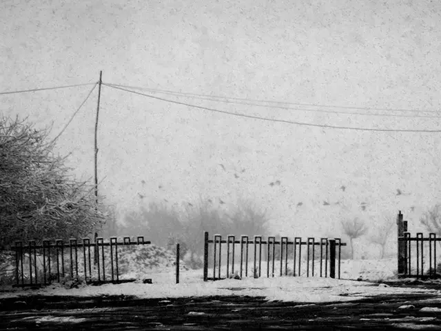 Peak and Least favorable Months for Allergies