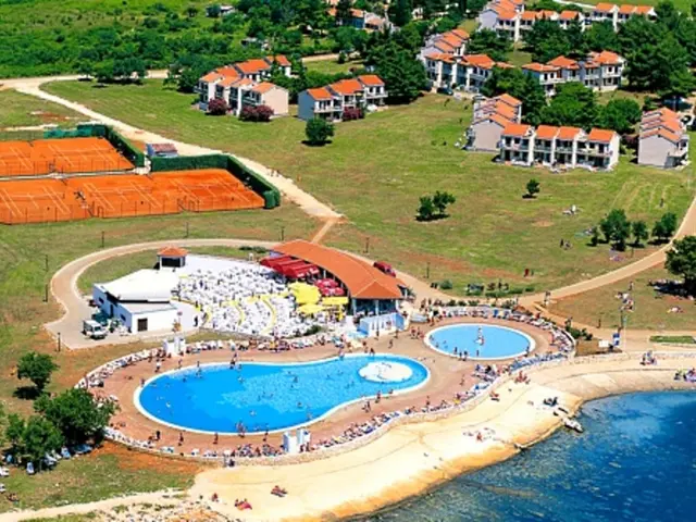 Nature Trek through Forest Wildlife