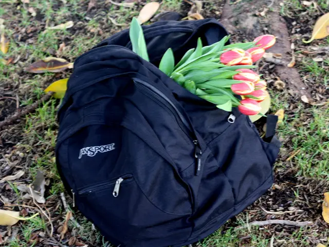 Distribution of Complimentary Leaf Bags Starting Monday