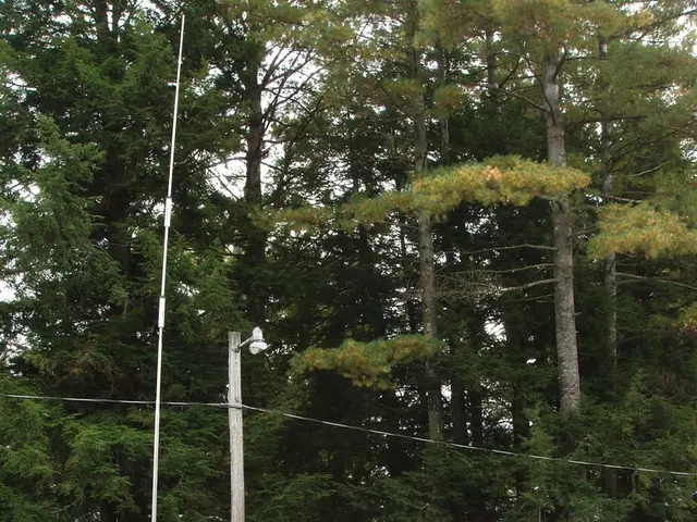 Purchased a 1998 Bailey caravan for £1,200 via Facebook Marketplace - my experience recounted