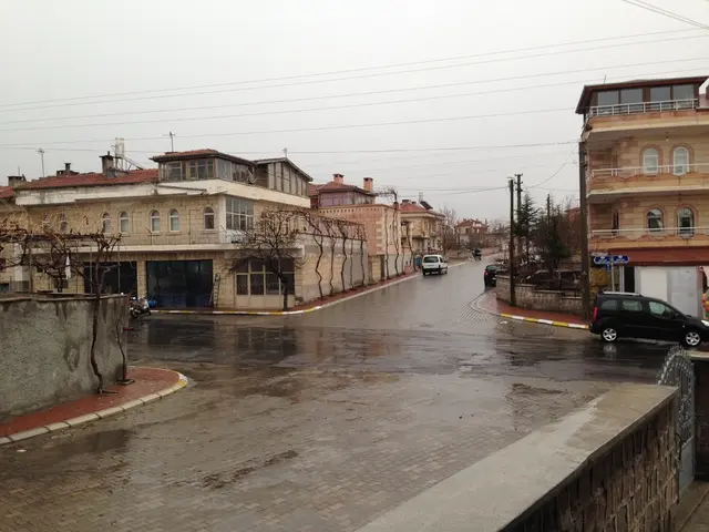 Currently Away on Vacation, with Today Being Garbage Collection Day. I Eagerly Anticipate the...