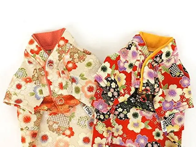 Summer Events Dressing Solutions Comprehensively Catered by Rixo x Billie Bhatia for All Sizes