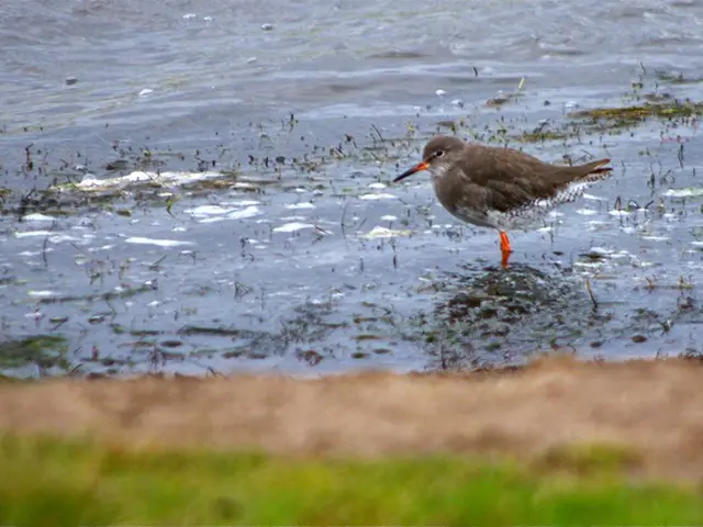 In the moment, misty breath clouds aired as the small yet powerful-hearted wren sang, bringing a...