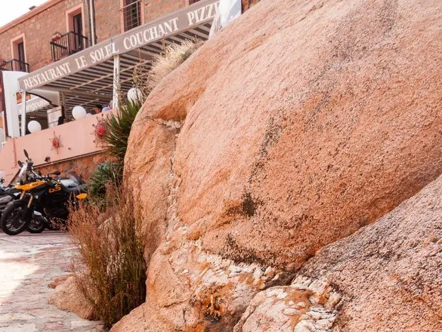 Landscaping Stones Available for Free: Top Locations to Source Them From