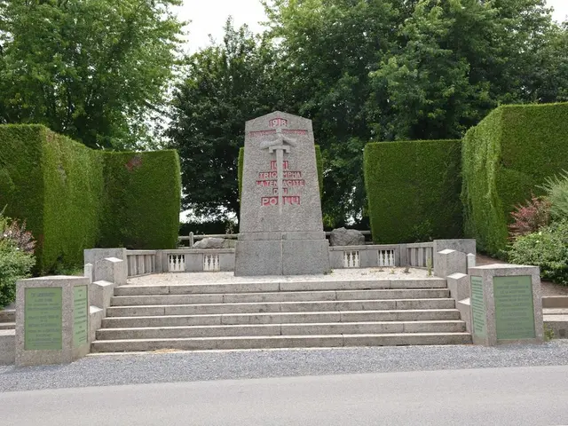 Guidelines for duplicating zinnias via stem cuttings and amplifying your vivid floral presentation...