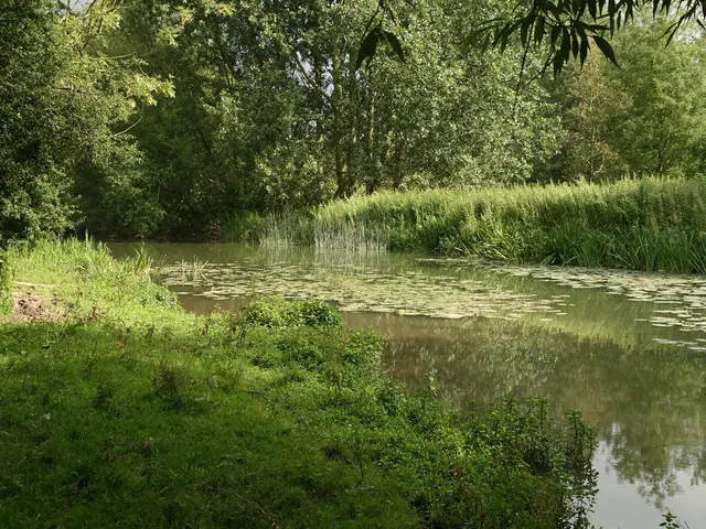 Water organ and footboats operated by DFG Saarbrücken are temporarily shut down, with no predicted...