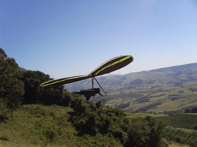 Our website's summer guide for media content