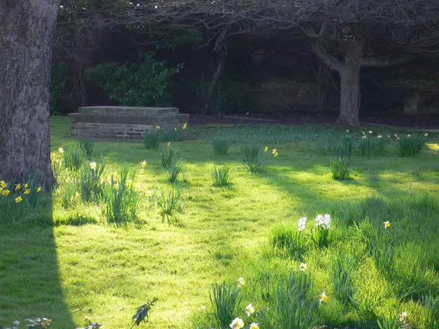 Sunset Serenade at Sissinghurst, captured by Troy Scott Smith, on our featured website: Reader Day