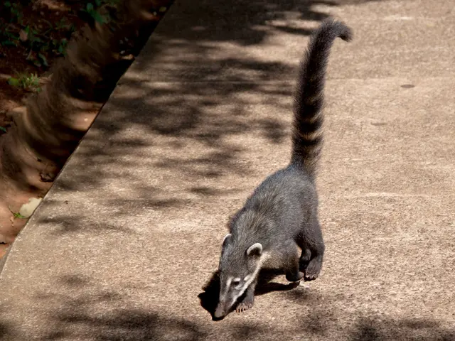 Rapid Methods to Swiftly Alleviate Nausea and End Unwell Feelings