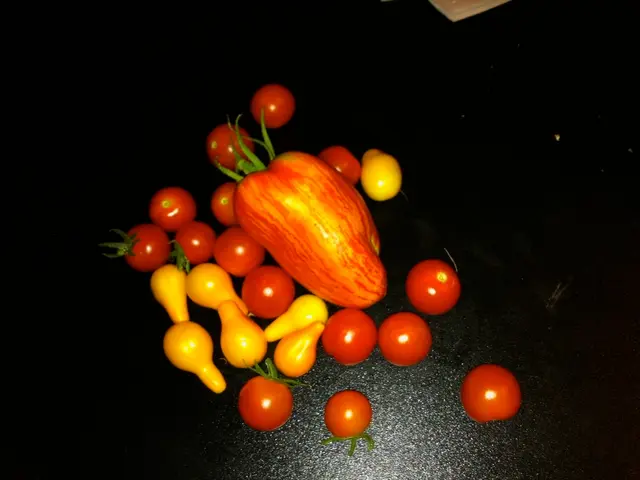 Delightful Toothpick-Skewered Fruits Accompanied by a Dipping Sauce!