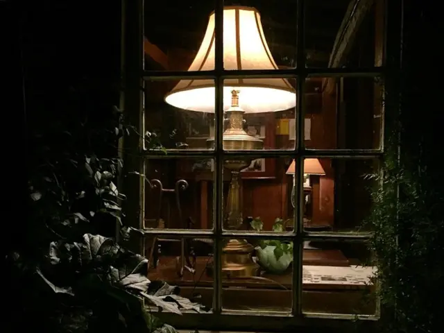 Cultivating Herbs Indoors: A Student's Handbook for Sustaining a Windowsill Herb Garden