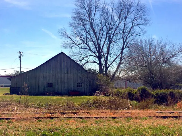 Solo hiking expeditions for beginners in the wilderness