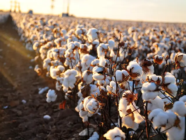 Landscaping Essentials: Natural and Synthetic Barriers for Weed Prevention - Organic Fleece, Hemp,...