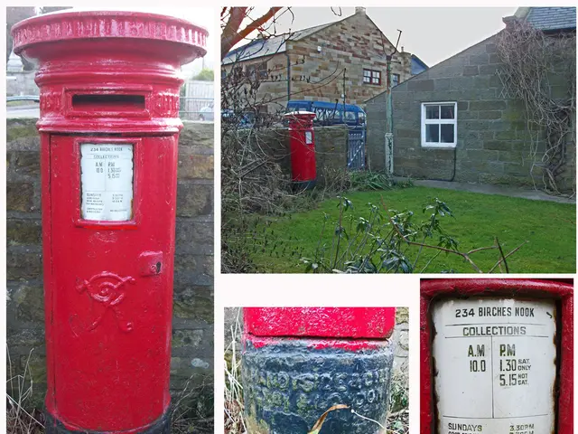 Caring for PeeGee Hydrangea Shrubs: Essential Guidelines for Growing PeeGee Hydrangea Plants