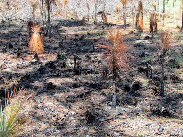 Eleven Harmful Vegetation Species Detected in New Jersey,paired with Twenty-Six Garden-Friendly...