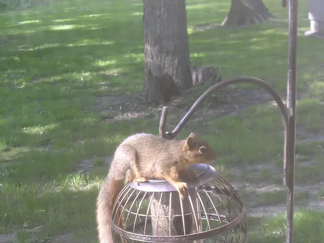 Waitstaff Position at Carlton Marshes Café