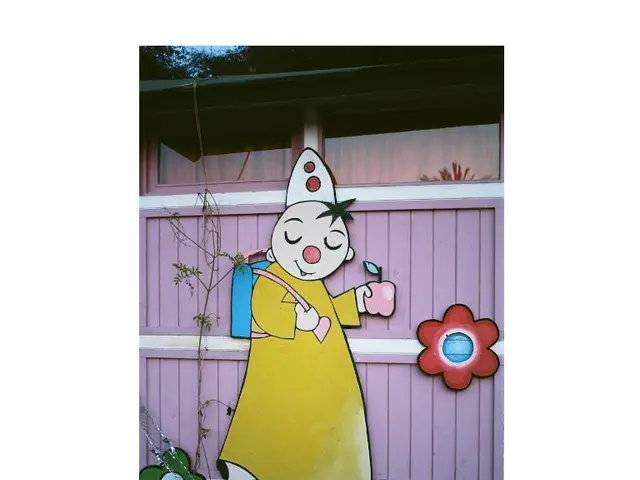 Regulation Implementation Rules to be Established by the Commission