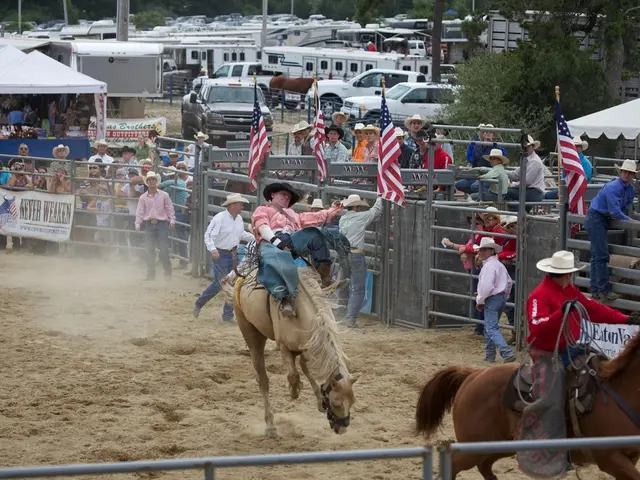 Celebrate the month of July with a spectacular display in Animal Crossing: Pocket Camp