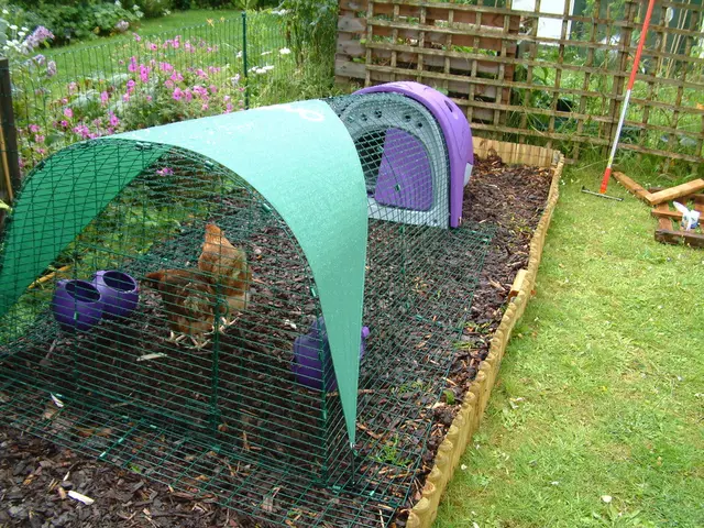 Weekend Glass Production Celebration: A Jubilee Hopfest at the 60th Anniversary of Geügelhof Giek