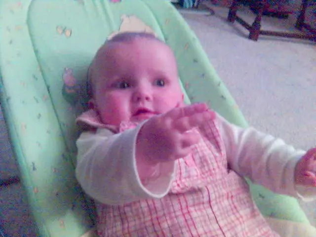 Fresh Papas Baking Class for Newbies