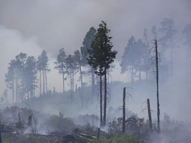 "Grab a broom and get ready"