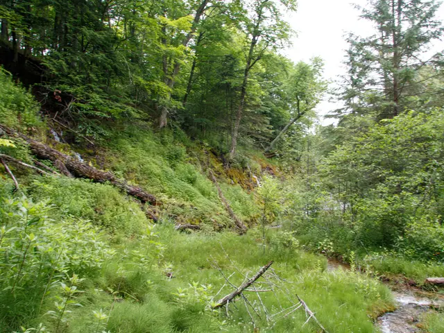 Regional Environmental Problems Addressed Through LEED Regional Priority Credits for LEED Green...