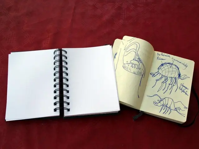 In this image there are two notebooks on the maroon color cloth.