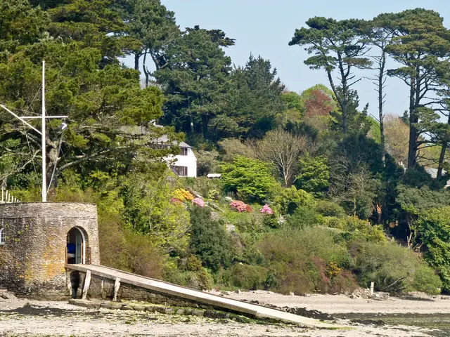 To the left side of the image there is a house with a ramp. In the background of the image there...