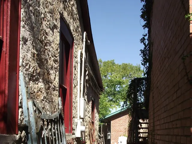 This is a picture of a building where there is a window, gate, door, lamp and at the background...